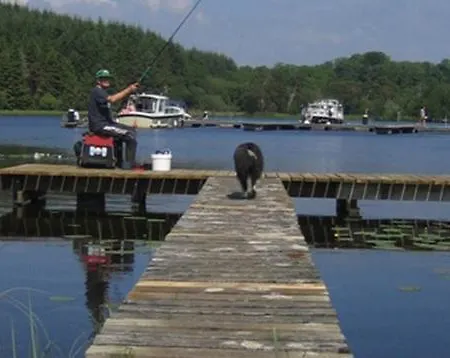 Paddy Mac's Self Catering Bar * Drumshanbo