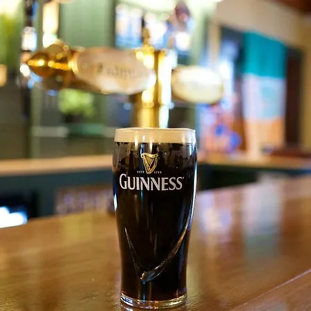 펜션 Paddy Mac's Self Catering Bar *