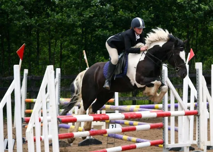 Ferienhaus Paddy Mac's Self Catering Bar *