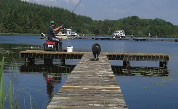 Paddy Mac's Self Catering Bar * Drumshanbo